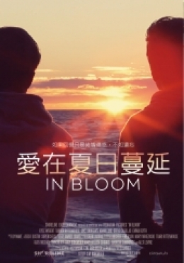 愛在夏日蔓延 愛在夏日蔓延