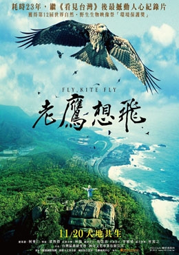 老鷹想飛 老鷹想飛
